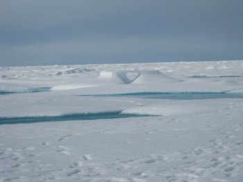 Heart in ice